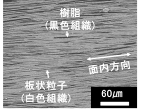 面内に配向した板状粒子強化複合材料の断面SEM像