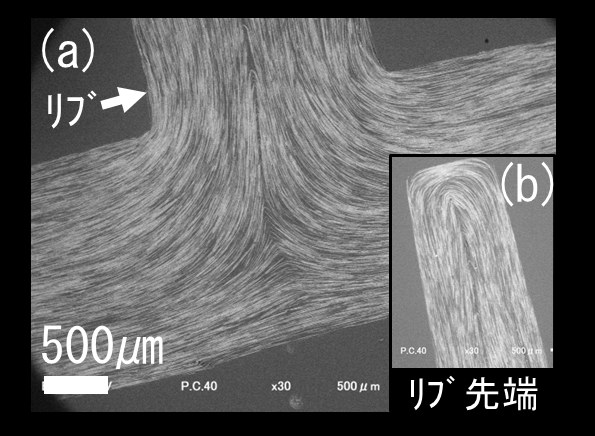リブ根元と先端のSEM像。板状粒子がリブ形状に沿って配置している